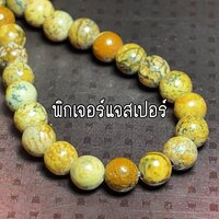 พิกเจอร์ แจสเปอร์