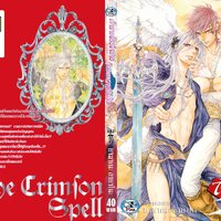 เจ้าชายต้องคำสาป กับ จอมเวทย์สีเงิน เล่ม 7