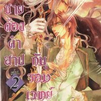 เจ้าชายต้องคำสาป กับ จอมเวทย์สีเงิน เล่ม 2