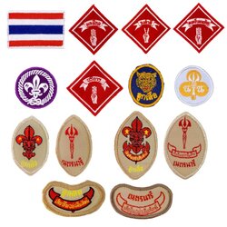 เครื่องหมายลูกเสือ เนตรนารี ป้ายลูกเสือ แบบผ้า สามัญ / สามัญรุ่นใหญ่ หน้าเสือ ติดหมวก ธงชาติ