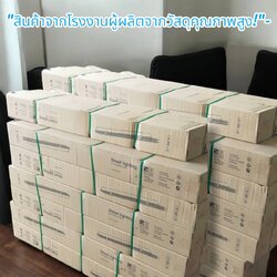 โคมถนน 1หลอด ยาว 60ซม. แป๊บจับ+กิ่งแขน จำนวนบรรจุ 10 อัน /ลัง