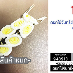 ดอกไม้จันทร์ช่อประธาน ขอบขาว