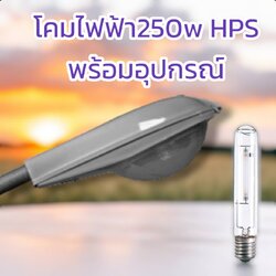 โคมถนน+หลอด250w HPSพร้อมอุปกรณ์ จำนวน 1ชุด