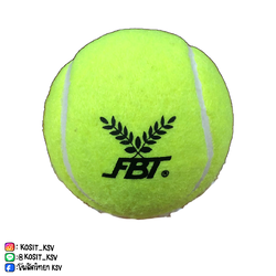 ลูกเทนนิสฝึกซ้อม FBT