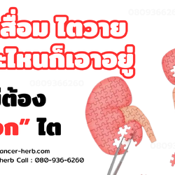 ฟอกไต ฟื้นฟูไตด้วยสารอาหารบำบัดด้วยวิธีธรรมชาติ!!