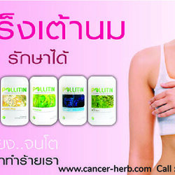 pollitin กำจัด "มะเร็งเต้านม"