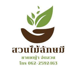 รับปูหญ้า จัดสวน ปูสนาม