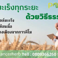 ศูนย์มะเร็ง บำบัดมะเร็งทุกระยะแบบธรรมชาติ