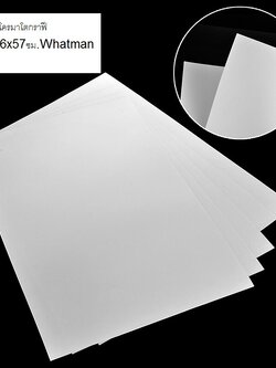 กระดาษโครมาโตกราฟีขนาด 46x57ซม.Whatman