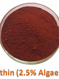 สารสกัดสาหร่ายสีแดงแบบผงละลายน้ำ Astaxanthin (2.5% Algae Extract)