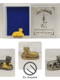 เสือกินไม่สิ้น พระอาจารย์ประสูติ วัดในเตา