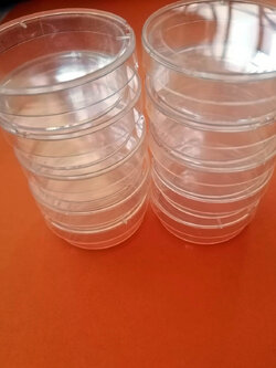 จานเพาะเชื้อพลาสติก ขนาดขนาด ฝา กว้าง 6 cm. .X สูง 1.5 cm.