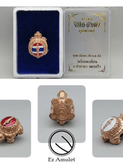 ไอ้ไข่ เต่าจิ๋ว มหาลาภ สัมฤทธิ์ ชุบพิ้งค์โกลด์