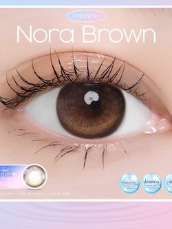 AZ191 รุ่น 14.2 Nora Brown Step 1-4 AZN Y