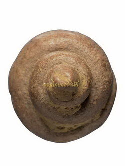 +เกศพระ หลวงพ่อโหน่ง วัดคลองมะดัน เนื้อดิน สุพรรณ65110950