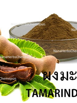 ผงเนื้อมะขาม 100% TAMARIND POWDER