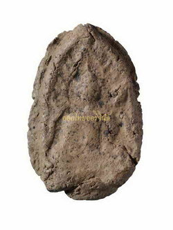 พระไม่มีข้อมูล 63120368