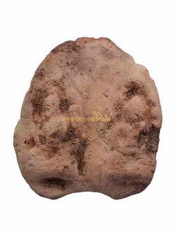 โชว์เป็นตัวอย่าง 63061278