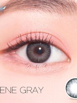 AZ134 รุ่น 14.2 Irene Gray Step 1-3 AZ A