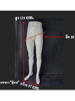 หุ่นโชว์กางเกงขายาว ผู้ชาย หุ่นครึ่งท่อนล่างชาย หุ่นขายาวชาย สีขาว หุ่นโชว์กางเกง