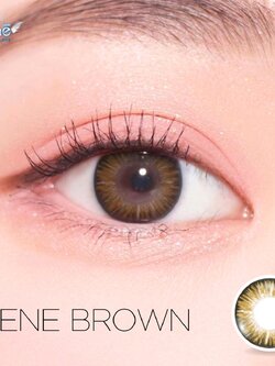 AZ135 รุ่น 14.2 Irene Brown Step 1-2 AZ Y