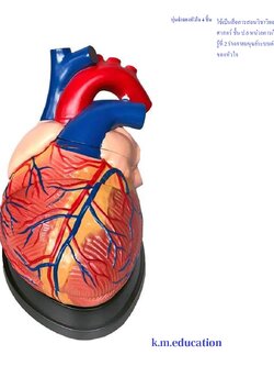 หุ่นจำลองหัวใจ 4 ชิ้น