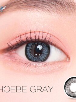 AZ144 รุ่น 14.5 Phoebe Gray Step 1-4 AZ Y