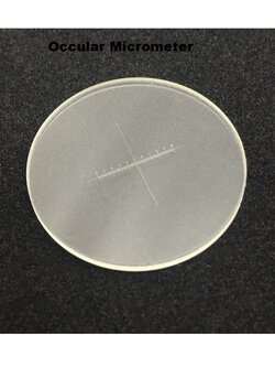 อุปกรณ์วัดขนาดตัวอย่างสำหรับกล้องจุลทรรศน์