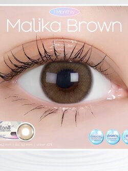 AZP02 รุ่น 14.2 Malika Brown (Luxury Silverbox) Step 1-3 AZP Y