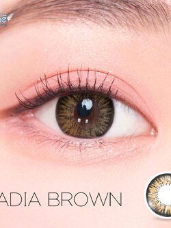 AZ056 รุ่น 14.5 Nadia Brown AZ Y