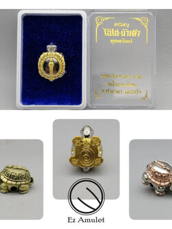 ไอ้ไข่ เต่าจิ๋ว มหาลาภ นครศรีธรรมราช