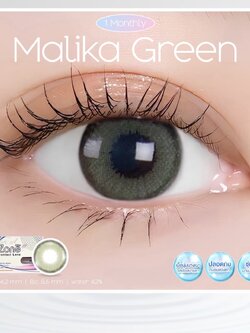 AZP01 รุ่น 14.2 Malika Green (Luxury Silverbox) Step 1-2 AZP Y