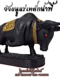 วัวธนู เครื่องราง วัวธนูอาคม วัวธนูแร่เหล็กน้ำพี้ แร่เหล็กน้ำพี้แท้ ขนาดลำตัวยาว 6.5 นิ้ว สีดำ ผ่านพิธีปลุกเสกแล้ว มีของพร้อมส่ง แถมฟรีวัตถุมงคลแร่เหล็กน้ำพี้