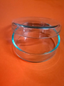 จานเพาะเชื้อแบบแก้ว ขนาด Dia 5.5ซม. X 1.5ซม.