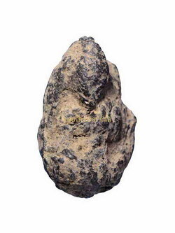 พระเม็ดน้อยหน่า กรุท่าฉนวน เนื้อดิน พิจิตร 630429126