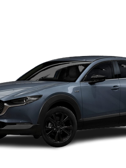 self-drive carrental