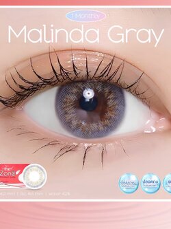 AZP04 รุ่น 14.2 Malinda Gray (Luxury Redbox) Step 1-3 AZP Y