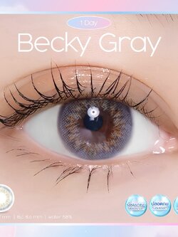 AZD01 รุ่น 14.2 Becky Gray (1Day/รายวัน) Step 1-4 AZD Y