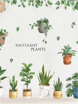 สติ๊กเกอร์ติดผนังตกแต่งบ้าน Highest PVC "Succulent Plant"