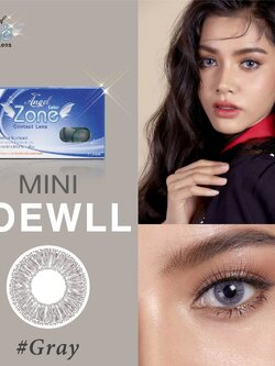 AZ017 รุ่น 14.2 Mini Lowell Gray Step 0 AZ B