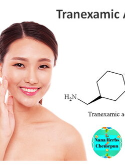 Tranexamic Acid ทราเนซามิค แอซิด