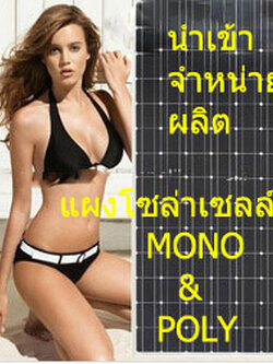แผงโซล่าเซลล์ solarcell polycrystalline 100W
