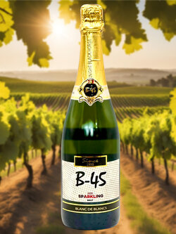 สปาร์คกลิ้ง B-45