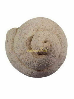 เกศพระ หลวงพ่อโหน่ง วัดคลองมะดัน เนื้อปูนปั้น สุพรรณ 63040328