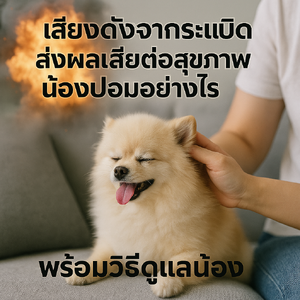 คู่มือปกป้องน้องปอมสุดที่รักจาก "ภัยเสียงระเบิด"