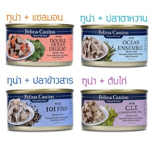 อาหารแมว