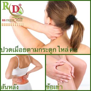 ปวดเมื่อยตามกระดูก ข้อเข่า สันหลัง ไหล คอ