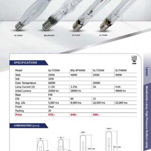 โคมไฟซาลาเปา (Flush Mount Ceiling Lights),โคมไฟเพดานแบบกึ่งติด (Semi-Flush Mount Ceiling Lights), โคมไฟระย้า (Chandeliers), โคมไฟห้อย (Pendant Lights), โคมไฟดาวน์ไลท์ (Downlights), โคมไฟราง (Track Lighting), โคมไฟพัดลมเพดาน (Ceiling Fans with Lights), ประ
