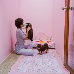 โรงแรมสุนัขโคอิด็อกโฮม