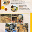 สายพานลำเลียงเมล็ดพืช รุ่นพกพา (ปากพ่นทรงสี่เหลี่ยม) ขนาด Ø 3.5-6 นิ้ว เครื่องดูดทราย เครื่องดูดทรายแม่น้ำ เครื่องดูดเมล็ดพืช เครื่องดูดเมล็ดข้าวเปลือก สายพานลำเลียงทราย สายพานลำเลียง สายพายลำเลียงข้าว สายพานลำเลียงเมล็ดข้าวโพด สายพานลำเลียงขนาดเล็ก